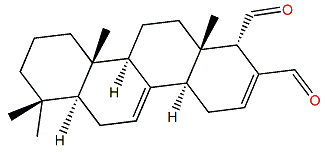 Mooloolabene B